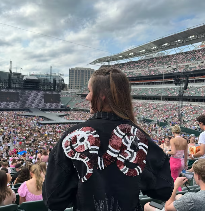 Taylor S Eras Tour Inspired Large Sequinned Snake Sew-on Patch