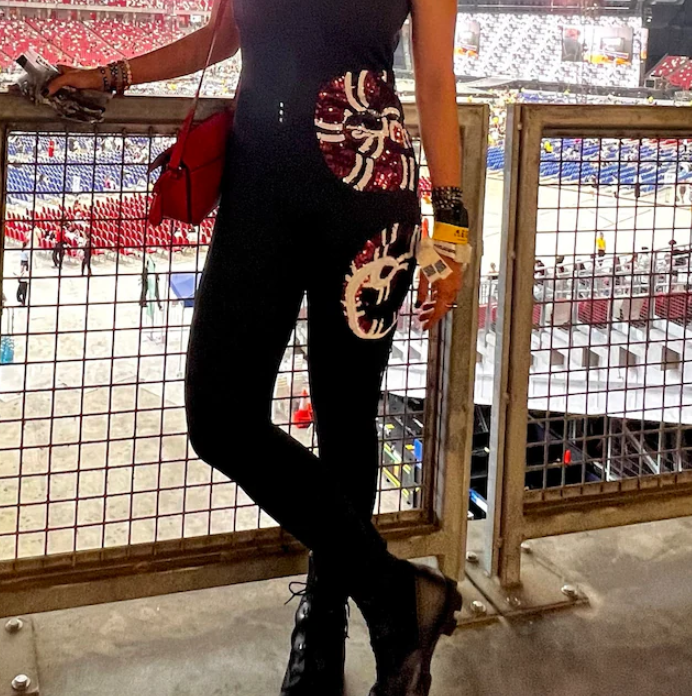Taylor S Eras Tour Inspired Large Sequinned Snake Sew-on Patch
